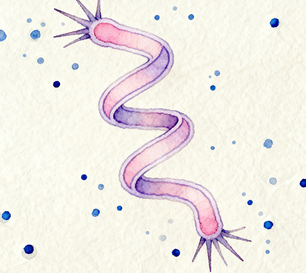 重磅發布！LD-ATP微生物細菌檢測儀升級 3.5 英寸觸摸屏，檢測效率再翻倍