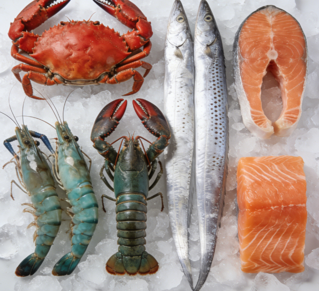 怎么確保水產品抗生素檢測結果的準確性?水產品抗生素檢測儀一鍵出結果